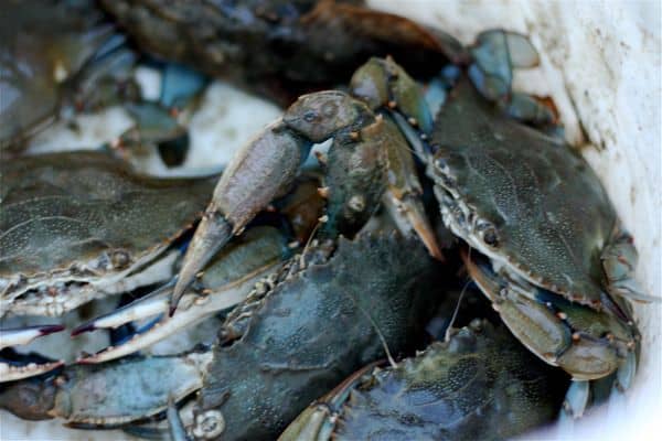 6a011570d70884970b013484ad3c7d970c-600wi