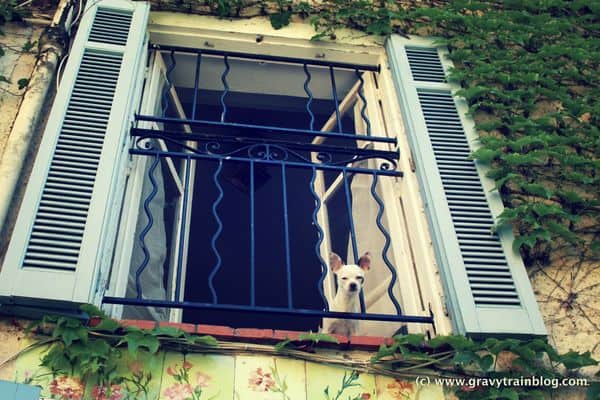 6a011570d70884970b016305cebeb3970d-600wi