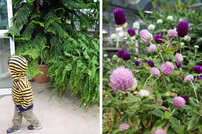 6a011570d70884970b01901dc9fc91970b-650wi