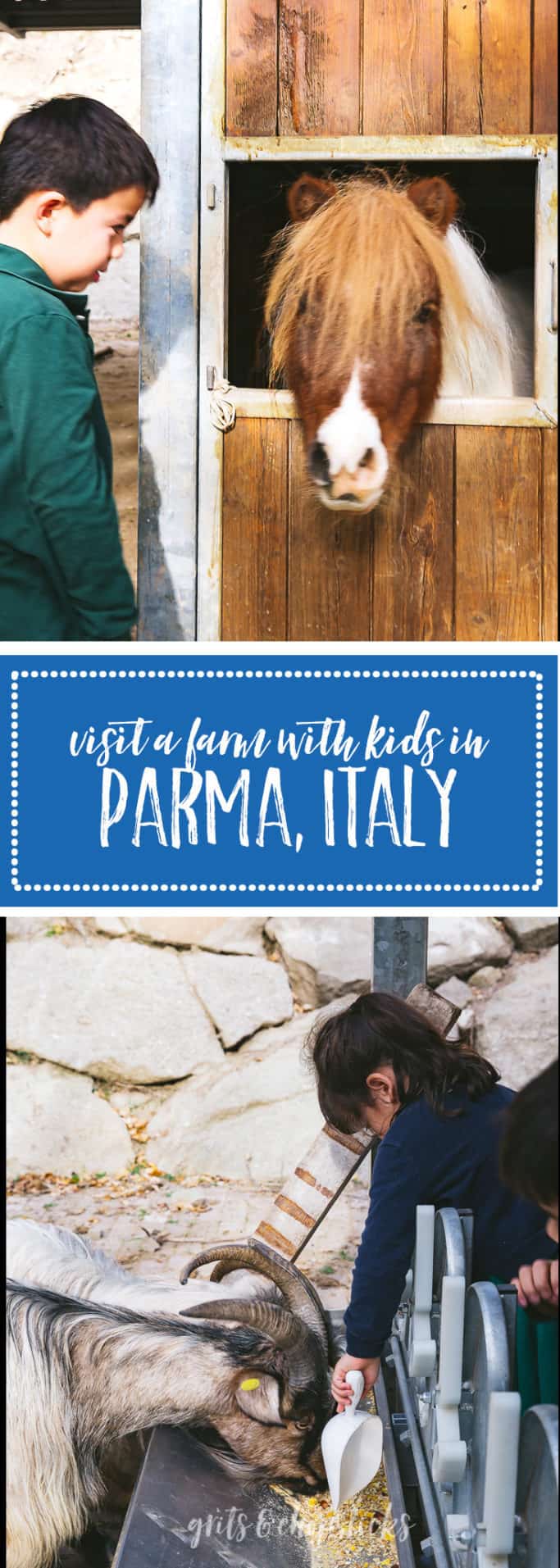 Hashi Parma All You Can Eat