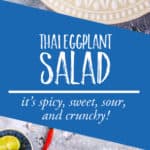 Thai crunchy eggplant salad