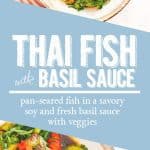 thai fish with basil sauce