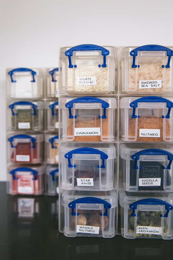 spice organization